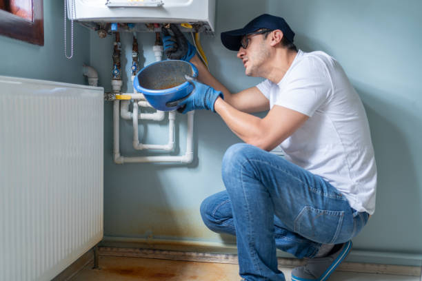 Best Local Plumber Services  in Emsworth, PA